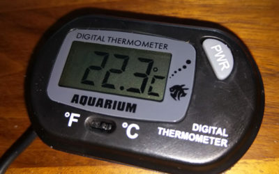 Digitales LCD Wasser Thermometer für Aquarium, Terrarium oder Vivarium