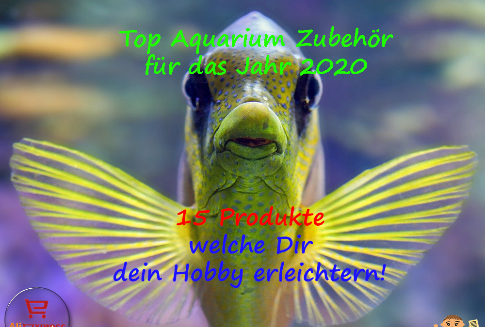 Top Aquarium Zubehör 2020