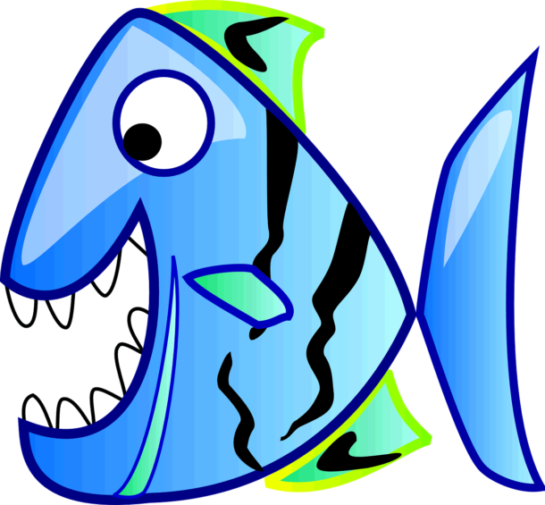 email-optin-aq-fish
